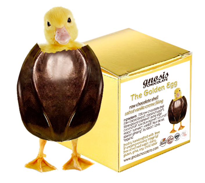 🐣 Golden Eggs — Gnosis Chocolate